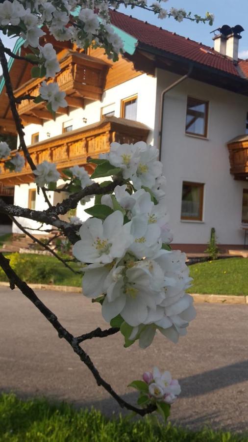Lederhof Apartment Абтенау Екстериор снимка